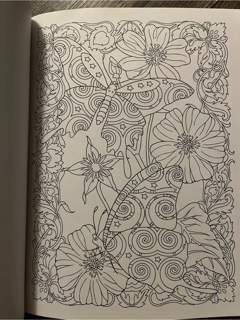 Incredible Insect Designs Coloring Book - Purple & Multicolor